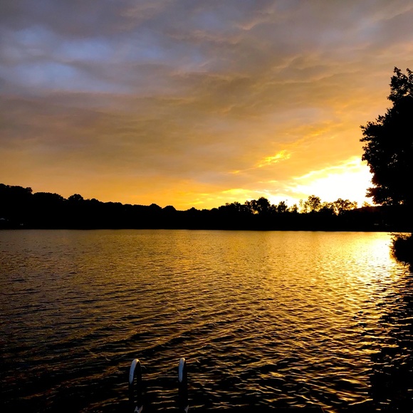 Meet your Posher, Sue - Picture 1 of 1